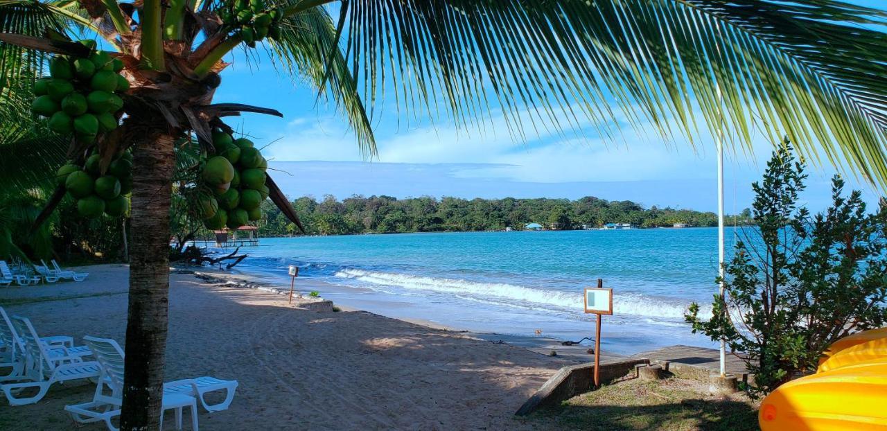 Playa Tortuga Hotel And Beach Resort Bocas del Toro Exterior photo